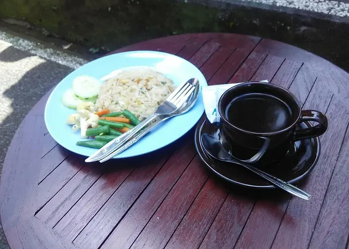 Green Jungle 4*